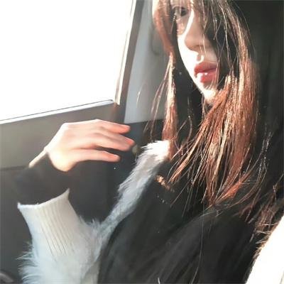 恐龙之王