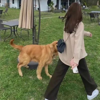 福星小子 障害物游泳大会